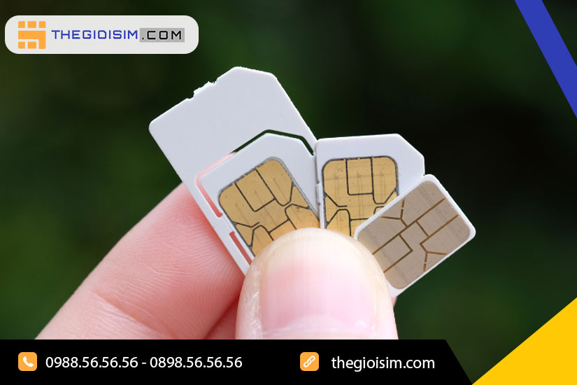 Sim Mobifone hợp tuổi