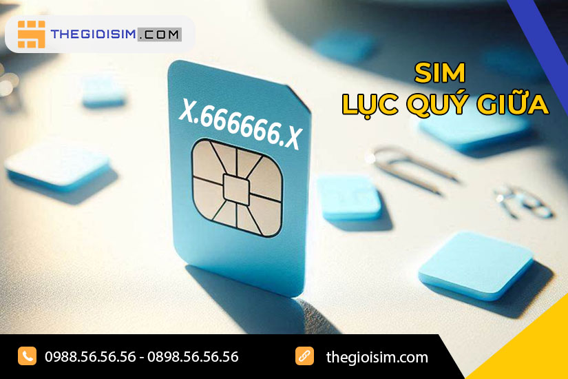 Sim lục quý giữa là gì?