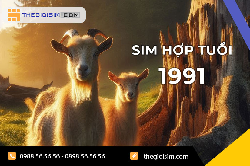 Những người sinh năm 1991 thuộc tuổi Tân Mùi