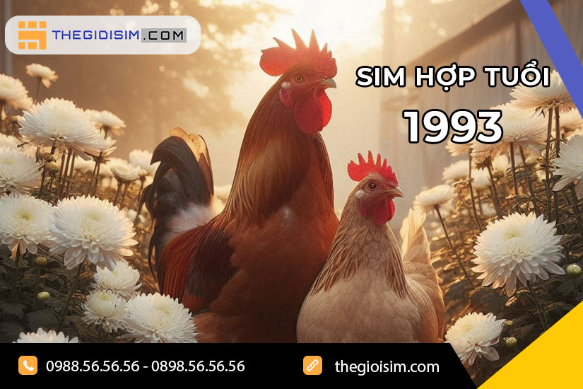 Những người sinh năm 1993 thuộc tuổi Quý Dậu, mang mệnh Kim