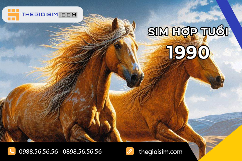 Tổng quan về sim hợp tuổi 1990