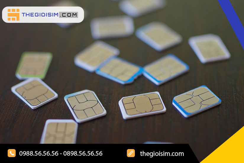 Top 6 loại sim số đẹp đem lại may mắn cho tuổi Tân Tỵ 2001