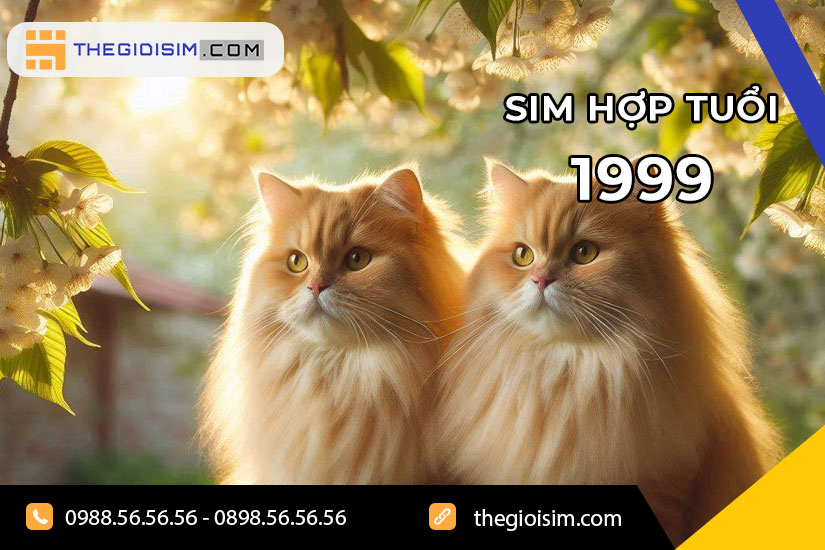 Người sinh năm 1999, tuổi Kỷ Mão, cầm tinh con Mèo, mang mệnh Thổ