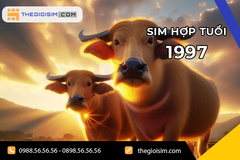 Ý nghĩa của việc chọn sim hợp tuổi 1997