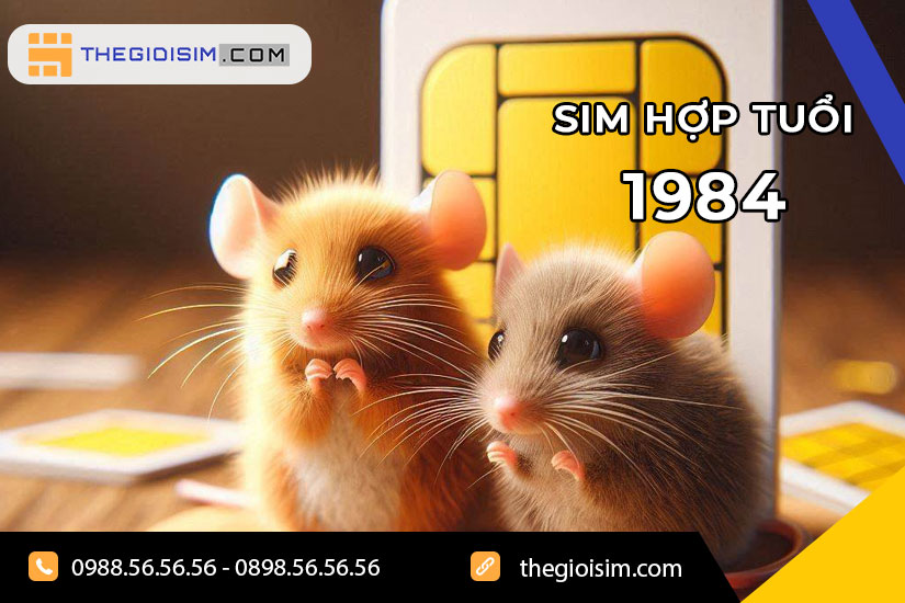 Sim hợp tuổi 1984 là gì?