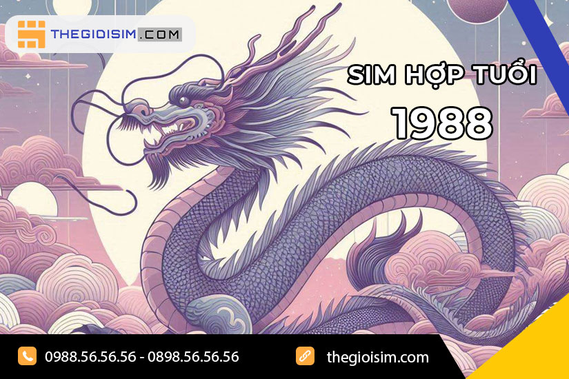 Sim hợp tuổi 1988 là gì?