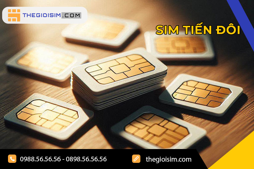 Sim tiến đôi là sim thế nào