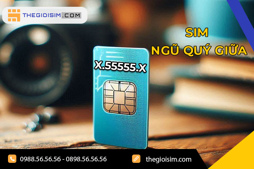 Sim ngũ quý giữa là gì?