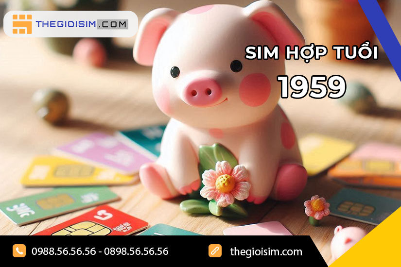 Sử dụng sim hợp tuổi 1959 sẽ có hiệu quả phong thủy rất tốt