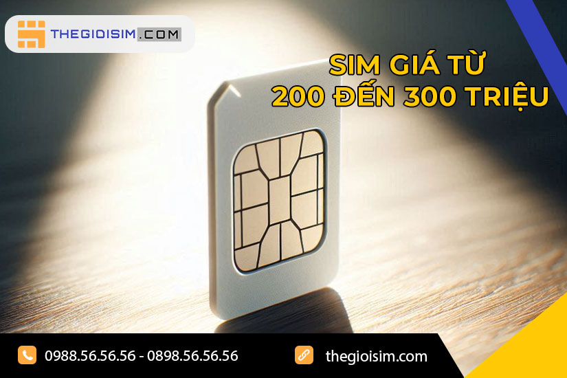 Sim giá từ 200 đến 300 triệu là sim thế nào?