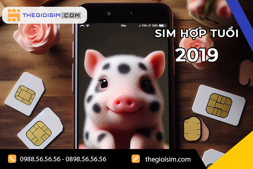 Thông tin tổng quan về phong thủy tuổi Kỷ Hợi 2019