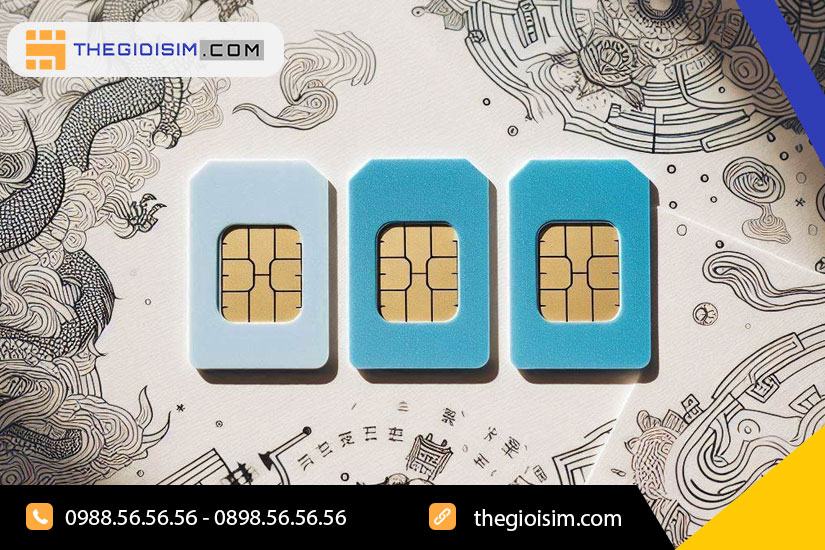 Các dạng sim năm sinh phổ biến