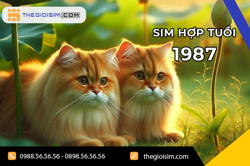 Sim hợp tuổi 1987 là dãy số điện thoại được chọn lựa dựa trên các yếu tố phong thủy