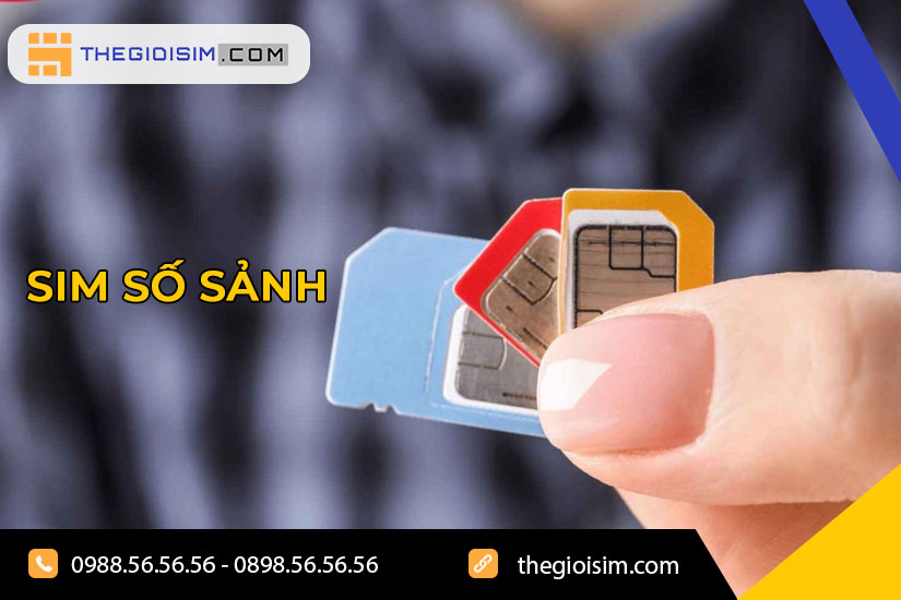 Sim số sảnh là sim gì?