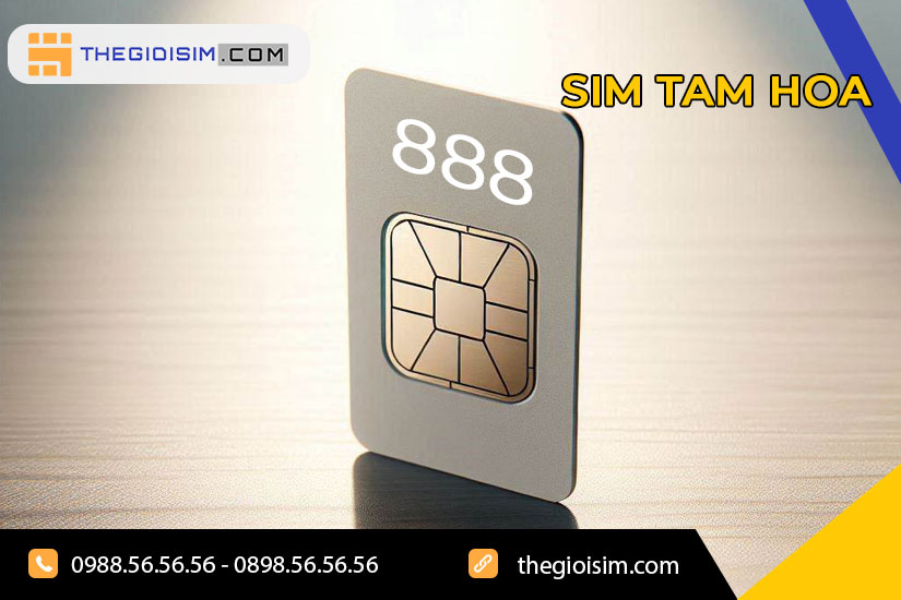 Sim Tam hoa là sim mà trong dãy số có sự kết hợp của 3 con số giống nhau, nằm liền kề nhau trong dãy số điện thoại