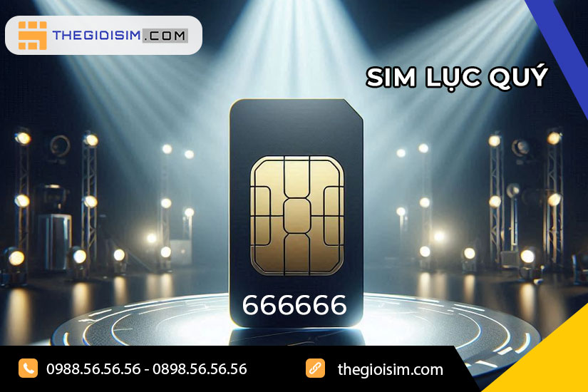 Sim Lục Quý là sim có sự kết hợp của 6 con số giống nhau, nằm liền kề nhau ở dãy số của một số điện thoại