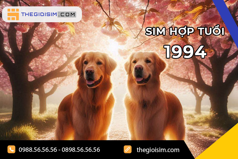 Sim hợp tuổi 1994 là loại sim được thiết kế để phù hợp với người sinh năm 1994 (tuổi Giáp Tuất)