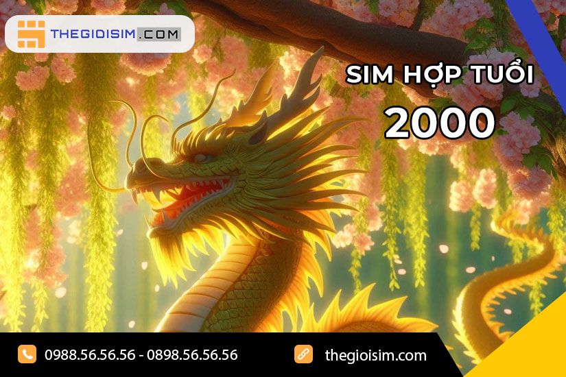 Người sinh năm 2000 thuộc tuổi Canh Thìn