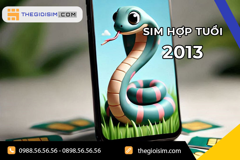 Tổng quan về người tuổi Quý Tỵ sinh năm 2013