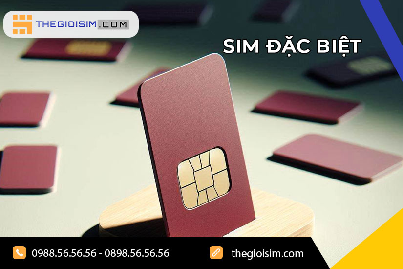 Sim đặc biệt là một dạng số đẹp, có thể hiểu đơn giản đó là những chiếc sim với đuôi số có ý nghĩa riêng với người dùng hoặc luận theo cách đọc sim số đẹp