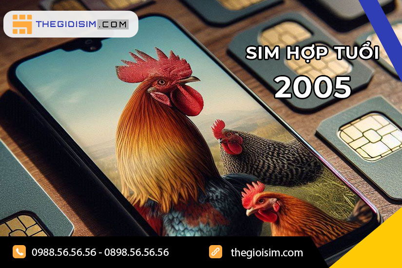 Tổng quan về người sinh năm 2005 (Ất Dậu)