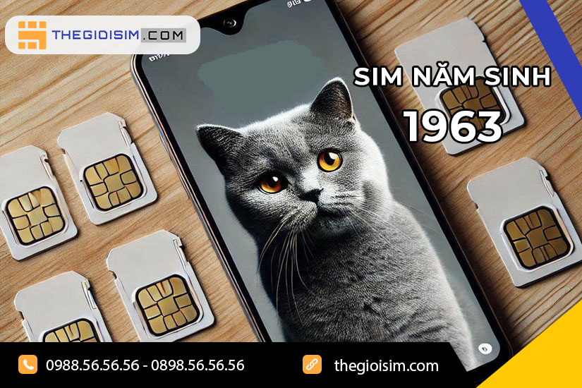 Sim năm sinh 1963 là sim thế nào?