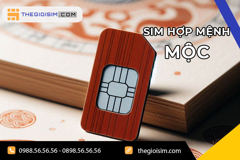 Hướng dẫn chọn sim hợp mệnh Mộc chính xác theo phong thủy