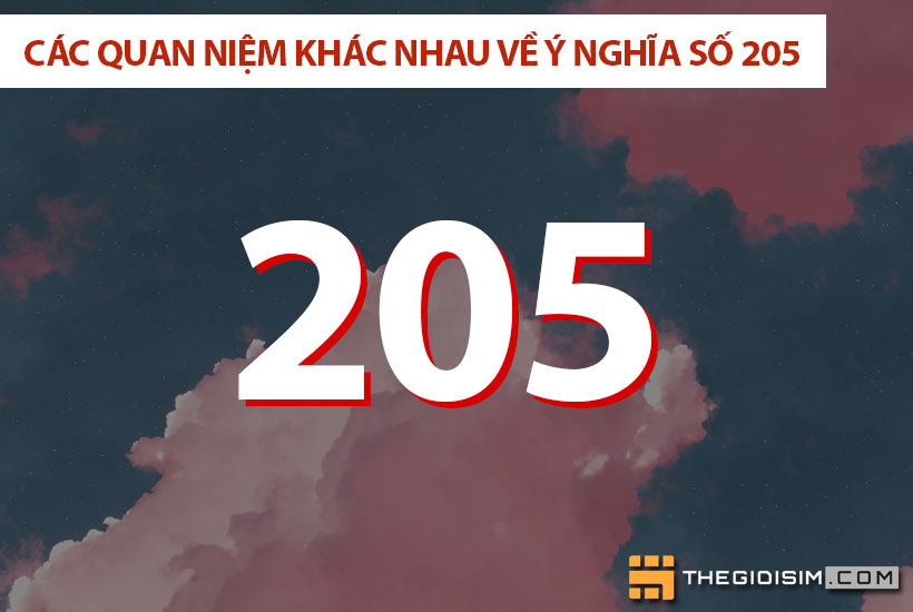 Các quan niệm khác nhau về ý nghĩa số 205