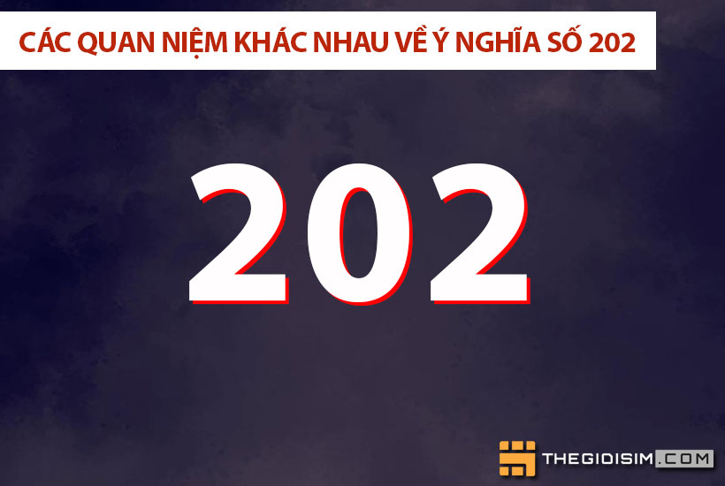 Các quan niệm khác nhau về ý nghĩa số 202