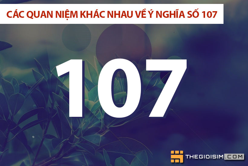 Các quan niệm khác nhau về ý nghĩa số 107