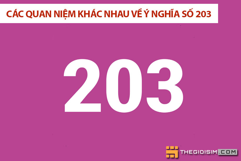 Các quan niệm khác nhau về ý nghĩa số 203
