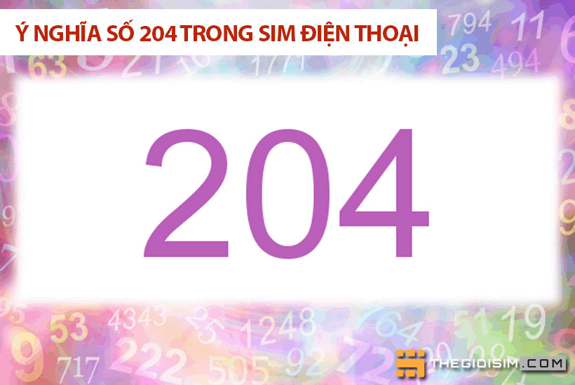 Các quan niệm khác nhau về ý nghĩa số 204