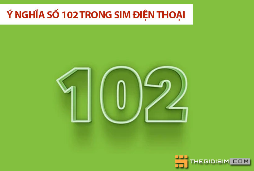 Các quan niệm khác nhau về ý nghĩa số 102