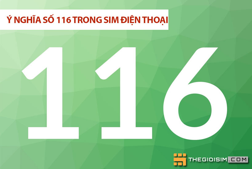 Các quan niệm khác nhau về ý nghĩa số 116