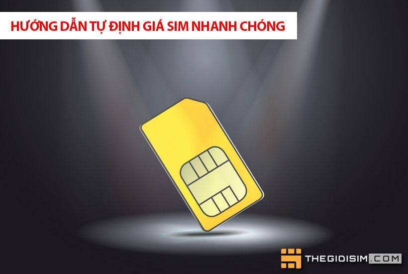 Hướng dẫn tự định giá sim nhanh chóng