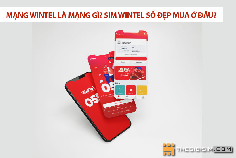 Mạng Wintel là mạng gì? Sim Wintel số đẹp mua ở đâu?