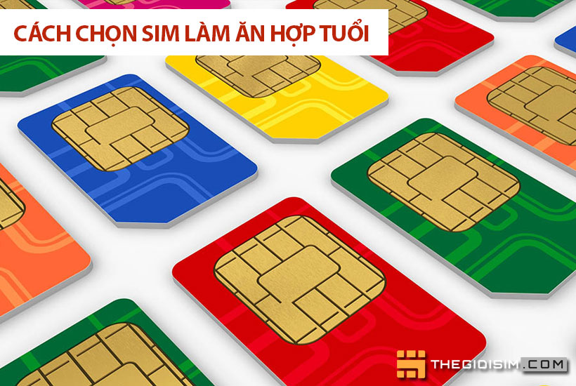 Cách chọn sim làm ăn hợp tuổi