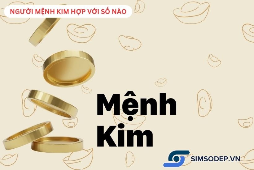 Người mệnh Kim hợp với số nào? Thông tin cần biết về người mệnh Kim