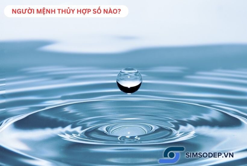 Những người mệnh thủy hợp số nào? Gợi ý số đẹp hợp phong thuỷ