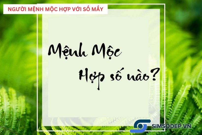 Người mệnh Mộc hợp với số mấy?  Cách chọn sim cho người mệnh Mộc