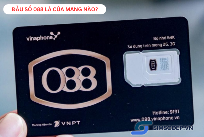 Đầu số 088 là của mạng nào, có ý nghĩa phong thủy gì?