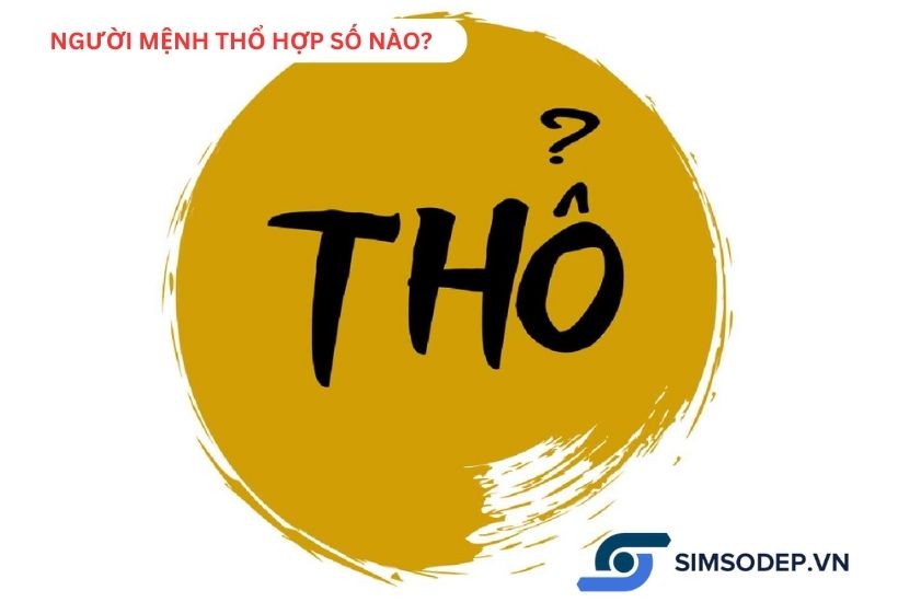 Người mệnh Thổ hợp số nào để chọn sim điện thoại đúng phong thủy?