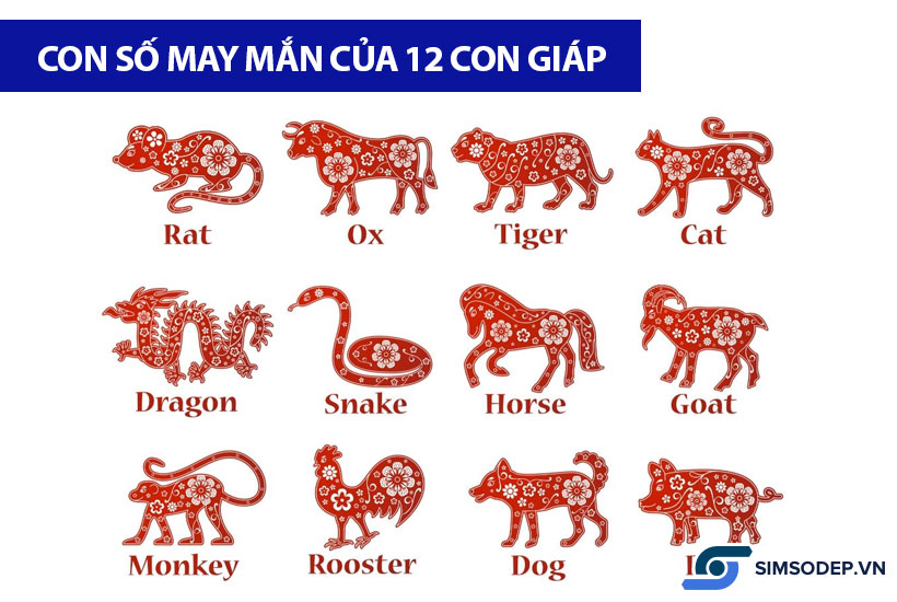 Con số may mắn của 12 con giáp, sim số đẹp may mắn cho 12 con giáp